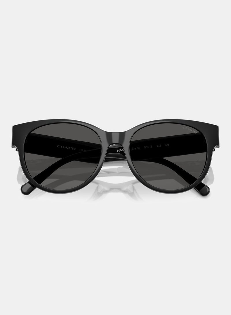 كوتش نظارة شمسية دائرية كاملة الإطار 8430D 500287 - Image 4